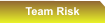 Team Risk