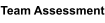 Team Assessment