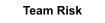 Team Risk