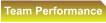 Team Performance
