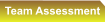 Team Assessment