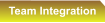 Team Integration