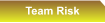 Team Risk
